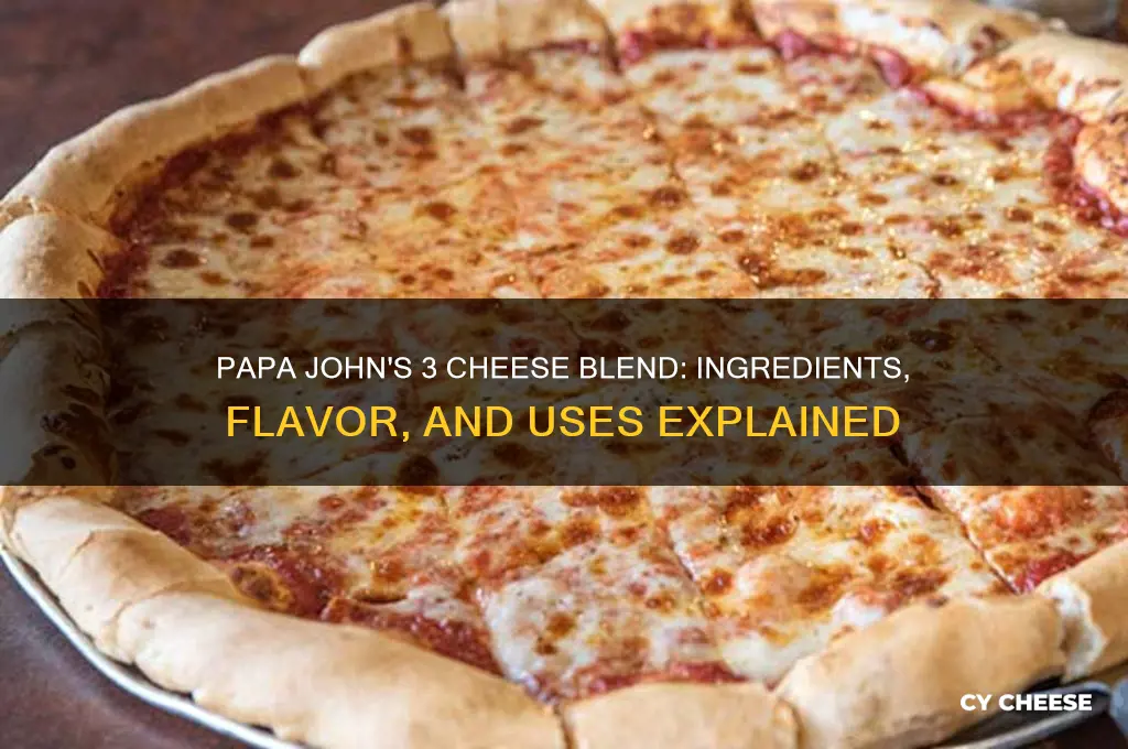what is papa john