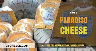 Discover the Rich, Creamy Delight of Paradiso Cheese: A Guide