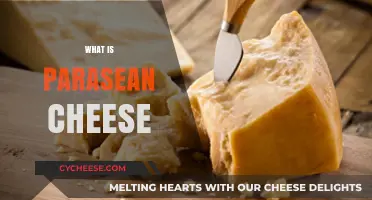 Discover the Unique Flavor and Origin of Parasean Cheese