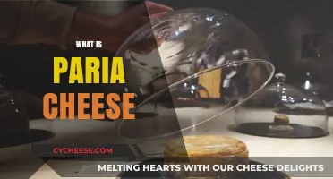 Discover the Unique Flavor and Origin of Paria Cheese