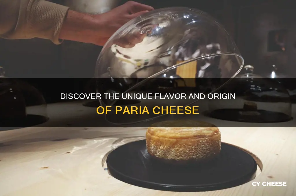what is paria cheese