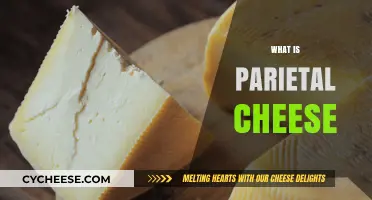 Exploring the Unique Flavor and Origin of Parietal Cheese