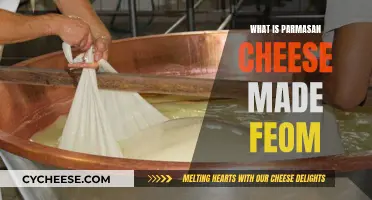 The Art of Making Parmesan Cheese