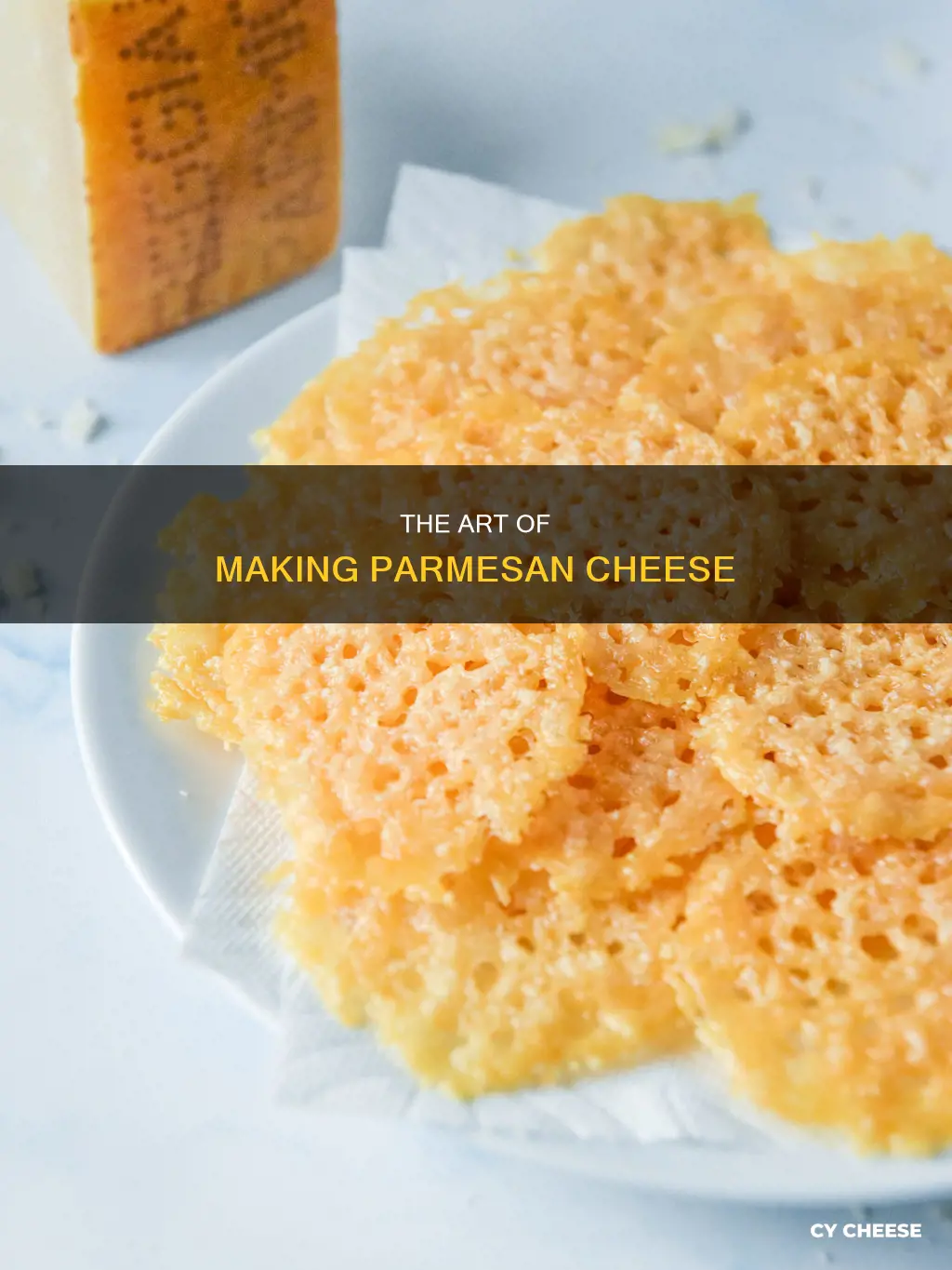 what is parmasan cheese made feom