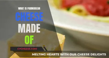 The Magic Ingredients Behind Parmesan Cheese's Unique Flavor