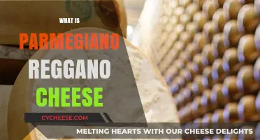 Discover the Rich History and Flavor of Parmigiano Reggiano Cheese