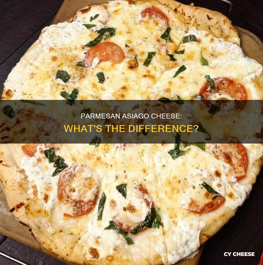 what is parmesan asiago cheese