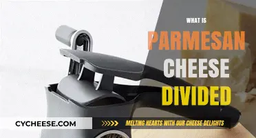 Parmesan Cheese: What's the Divide?