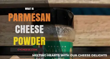 Parmesan Powder: The Cheesy Condiment Explained