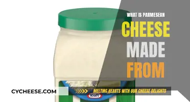 The Art of Parmesan Cheese: A Dairy Delve