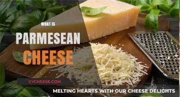 Parmesean Cheese: A Culinary Masterpiece