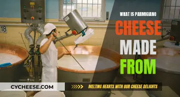 The Magic of Parmigiano Cheese: Cow's Milk Transformation