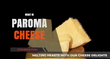 Discover Paroma Cheese: Origins, Flavor, Uses, and Unique Characteristics