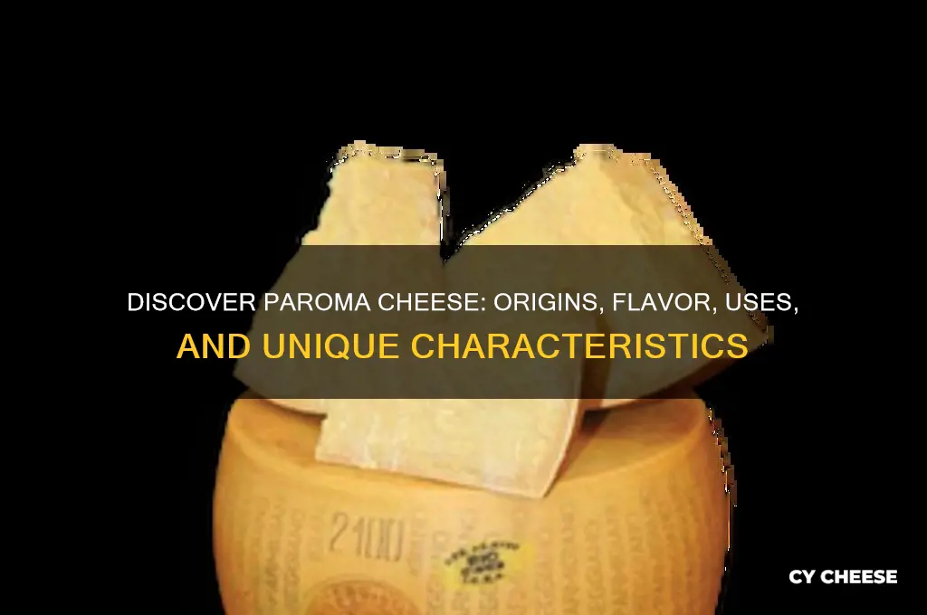 what is paroma cheese