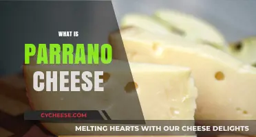 Discover Parrano Cheese: A Rich, Buttery Dutch Delight Explained