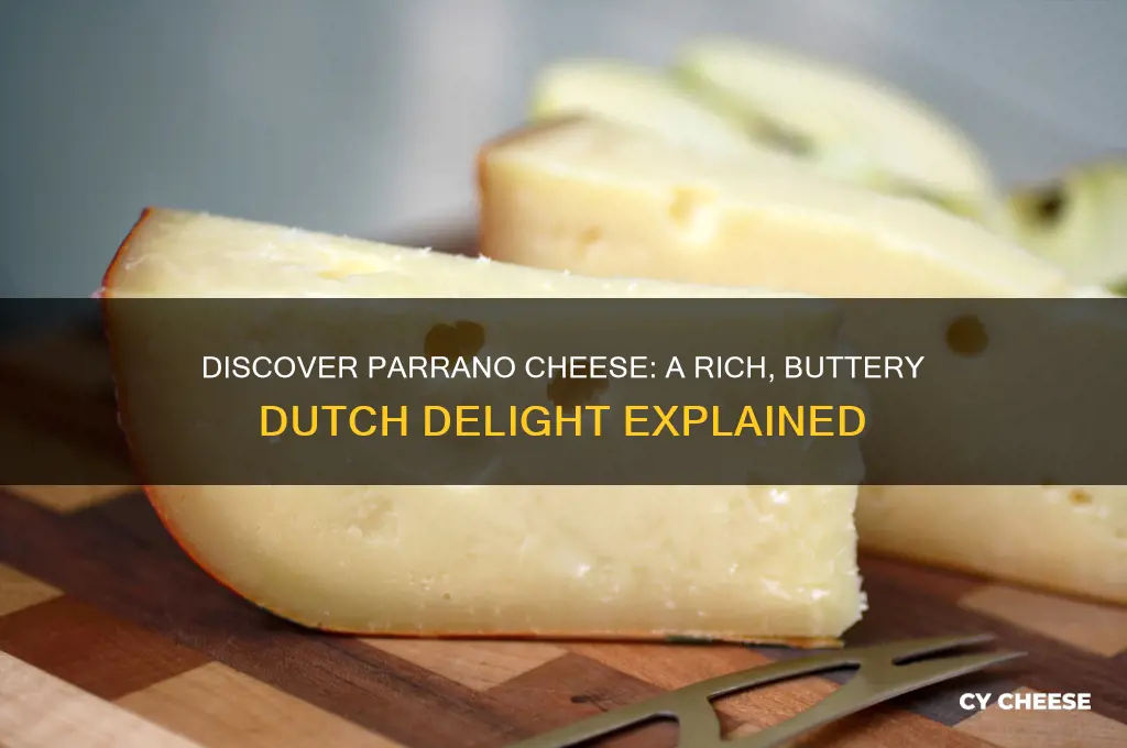what is parrano cheese