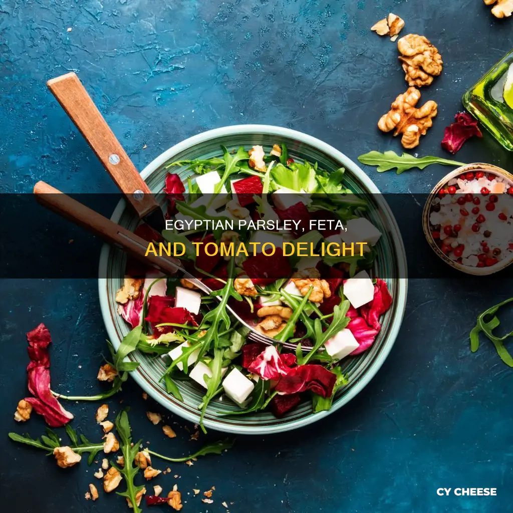 what is parsley feta cheese and tomatoe called from egypt