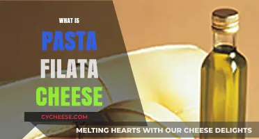 Discover the Stretchy Magic of Pasta Filata Cheese