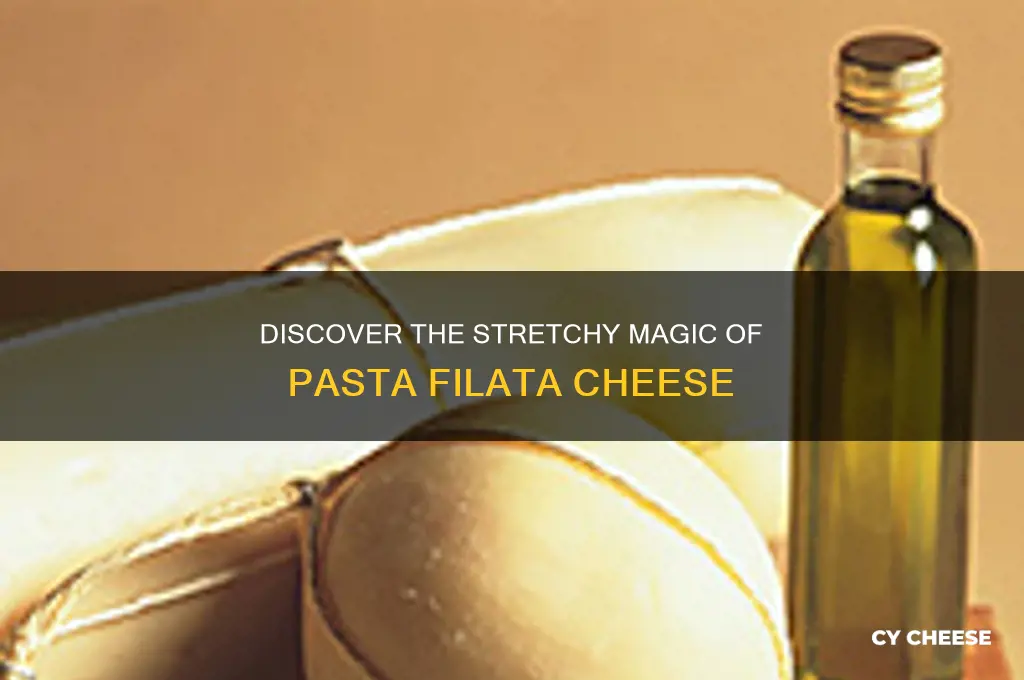 what is pasta filata cheese