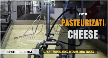 Understanding Pasteurization in Cheese: Process, Benefits, and Types Explained