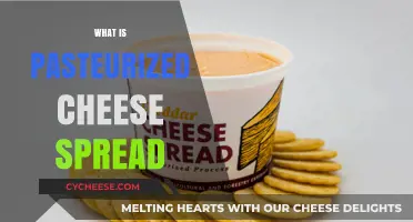 Understanding Pasteurized Cheese Spread: Ingredients, Benefits, and Uses Explained