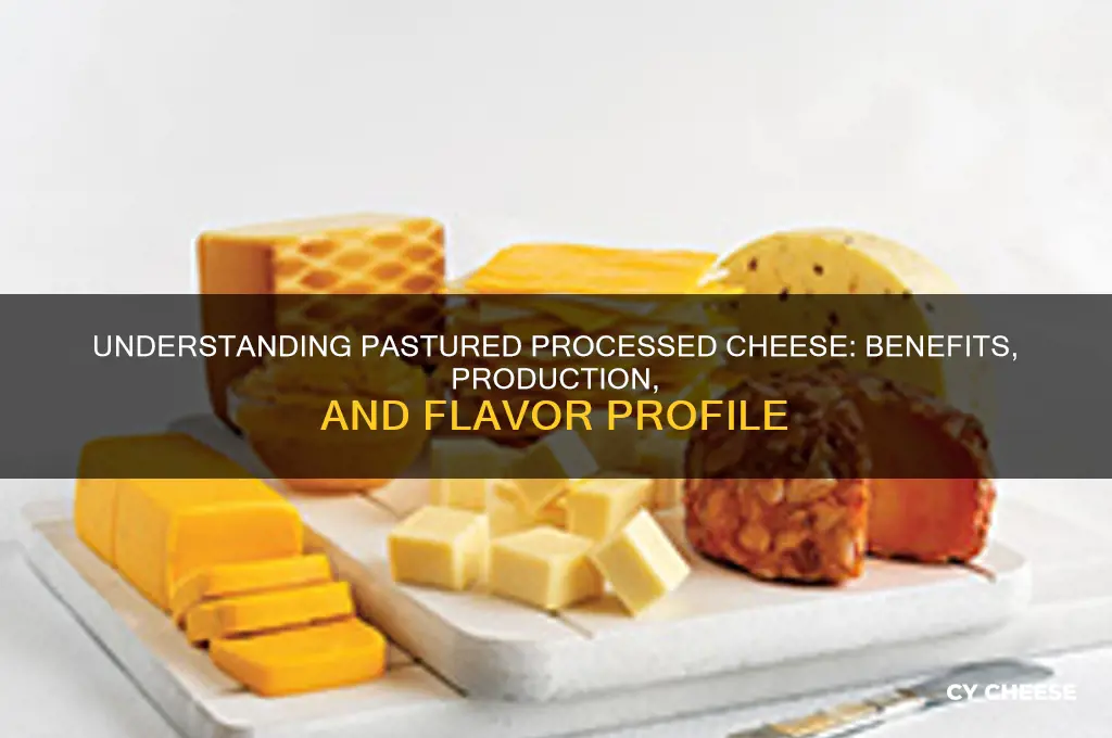 what is pastured processed cheese