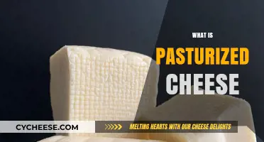 Understanding Pasteurized Cheese: Benefits, Process, and Popular Varieties