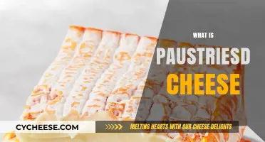 Exploring the Unique Flavor and Uses of Paustriesd Cheese