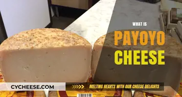 Discover Payoyo Cheese: Spain's Unique Goat and Sheep Milk Delight