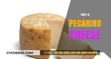 Discovering Pecorino Cheese: Origins, Flavors, and Culinary Uses Explained
