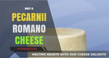 Discover Pecorino Romano Cheese: History, Flavor, and Culinary Uses