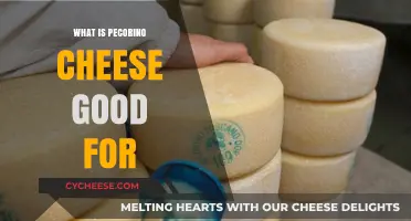 Pecorino Cheese: Uses, Benefits, and Delicious Culinary Applications