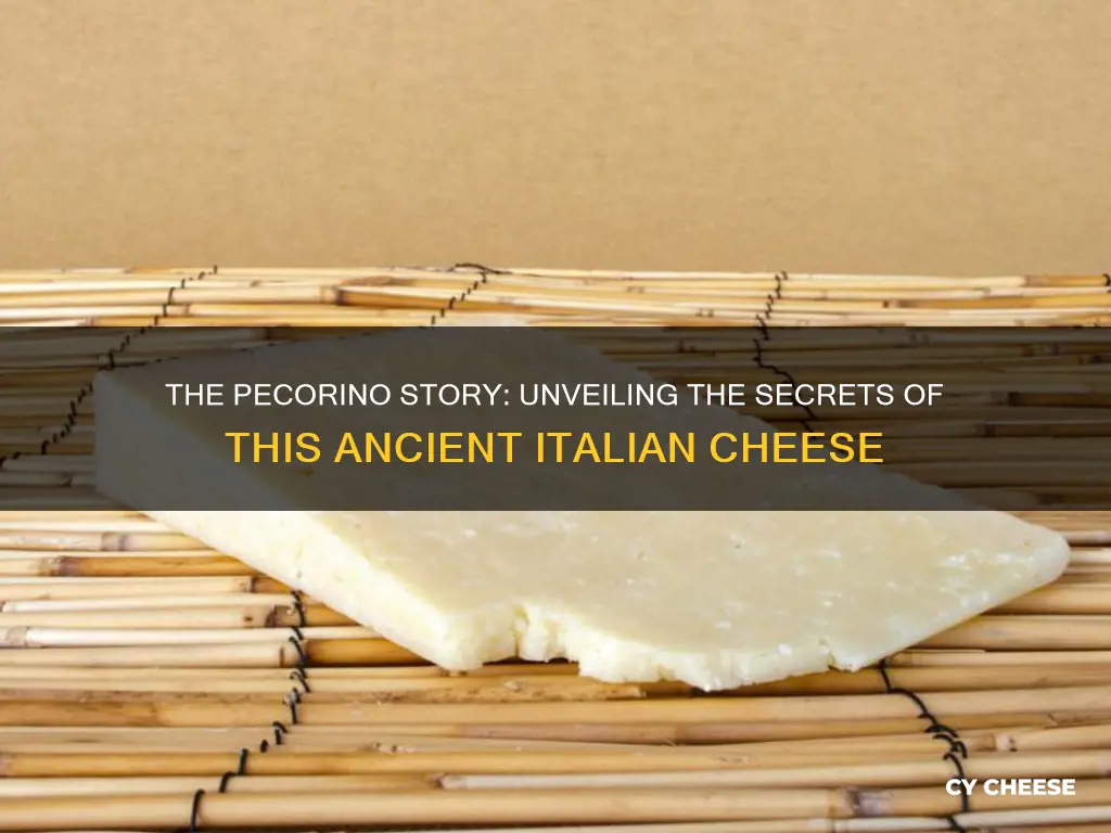 what is pecorino cheese made from