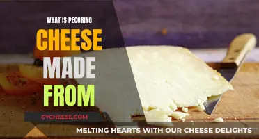 The Magic of Pecorino Cheese: A Sheep's Milk Marvel