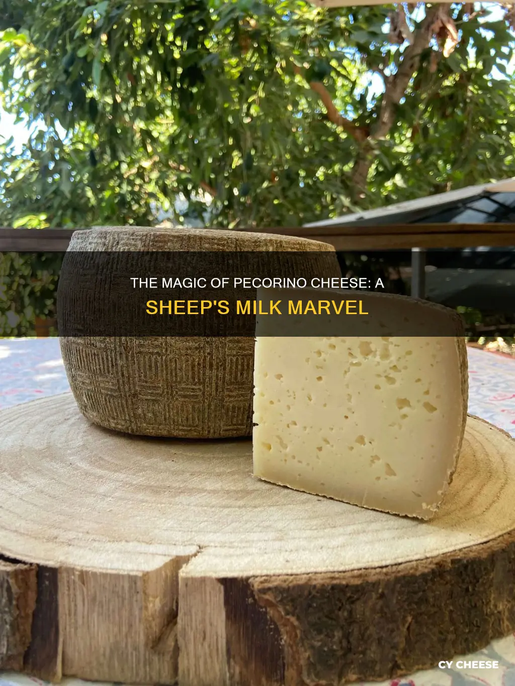 what is pecorino cheese made from