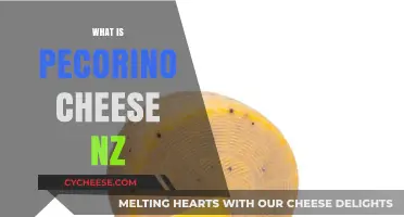 Discovering Pecorino Cheese: A Guide to Its Origin and Uses in NZ