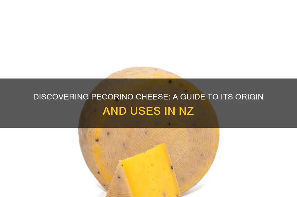 what is pecorino cheese nz