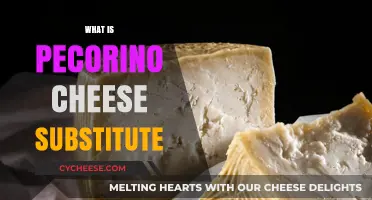 Discover the Best Pecorino Cheese Substitute for Your Recipes