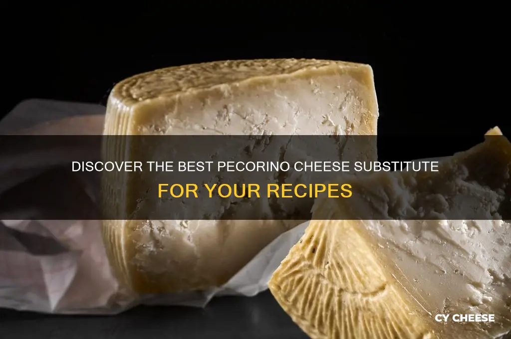 what is pecorino cheese substitute