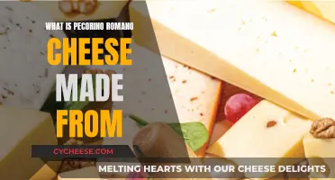 The Making of Pecorino Romano Cheese