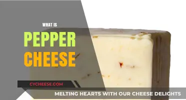 Discover the Spicy Delight: What is Pepper Cheese?