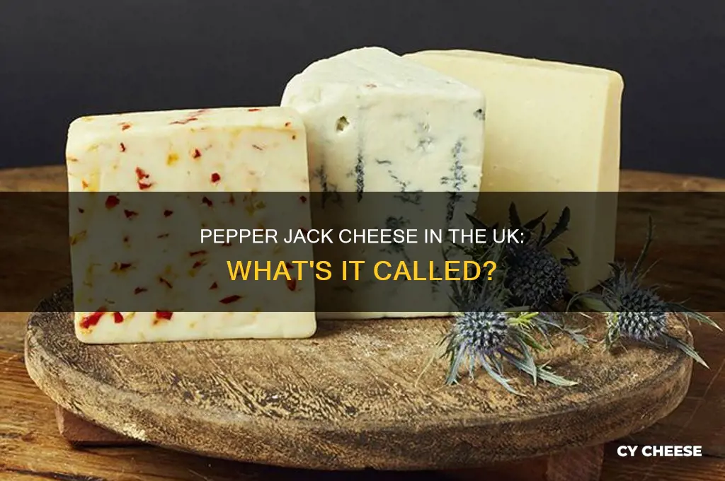 what is pepper jack cheese called in uk