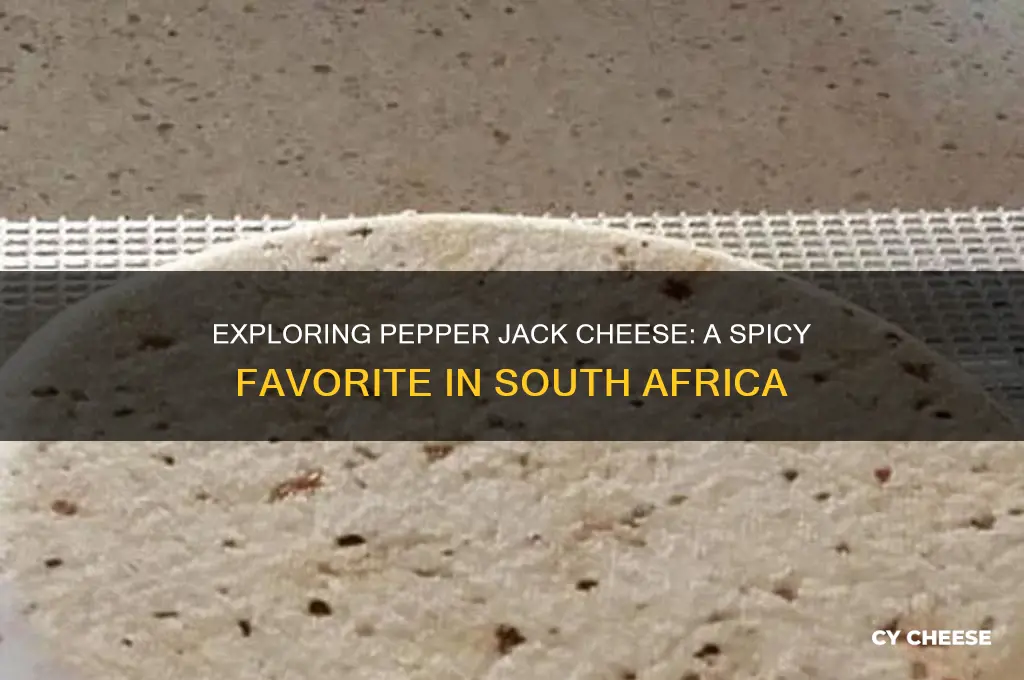 what is pepper jack cheese in south africa