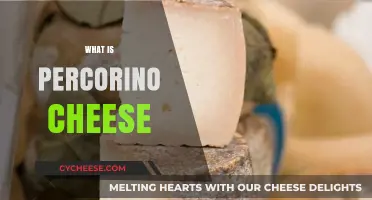 Discover the Rich Flavor and History of Pecorino Cheese