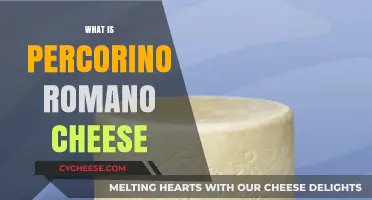 Discover the Rich Flavor and History of Pecorino Romano Cheese