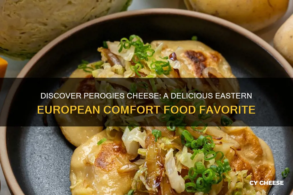what is perogies cheese