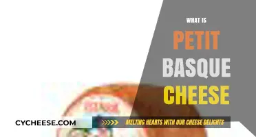 Discover Petit Basque Cheese: A French Delight Worth Savoring