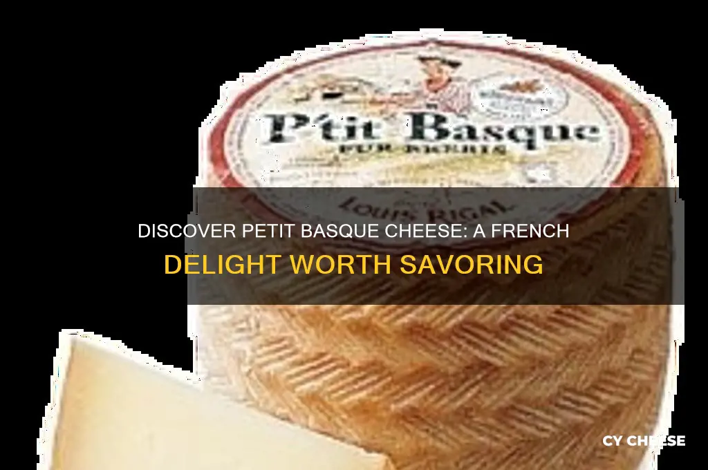 what is petit basque cheese