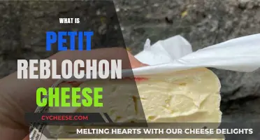 Discover Petit Reblochon: A French Cheese Lover's Delight