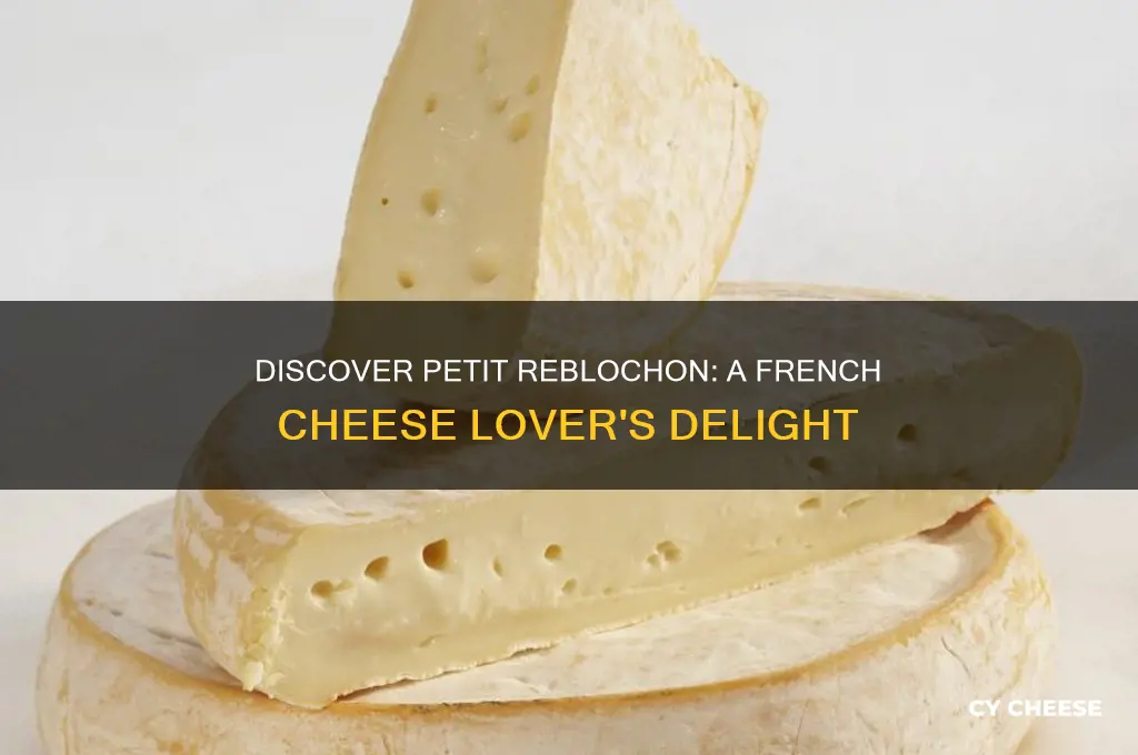 what is petit reblochon cheese
